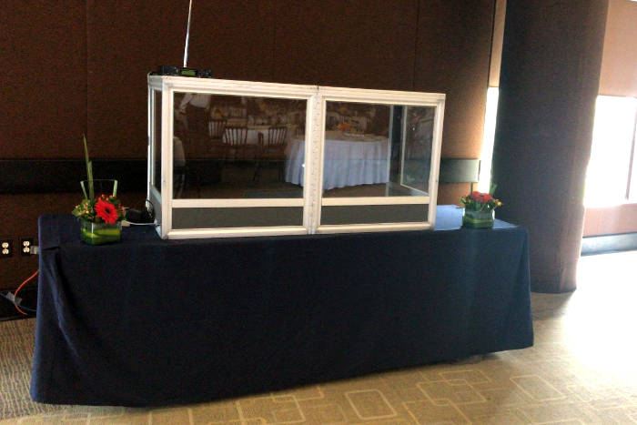 traducción sumultánea para eventos